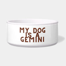 Mijn hond is een gemini
