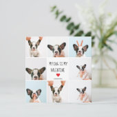 Mijn hond is mijn Valentijn | Twee foto's van hond (Staand voorkant)