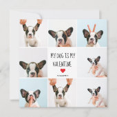 Mijn hond is mijn Valentijn | Twee foto's van hond (Voorkant)