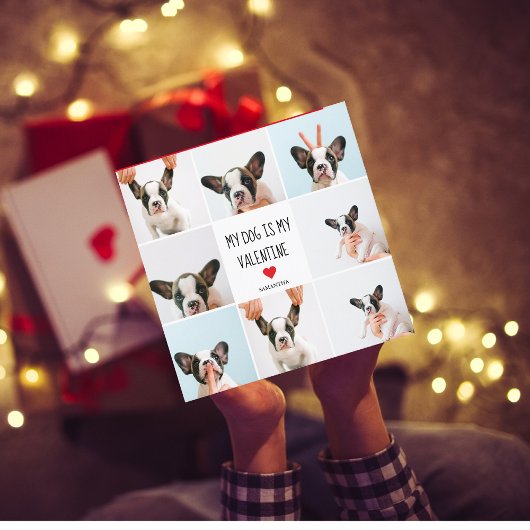 Mijn hond is mijn Valentijn | Twee foto's van hond