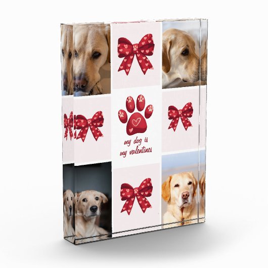 Mijn hond is mijn Valentijnse boog 4 foto's (Links)