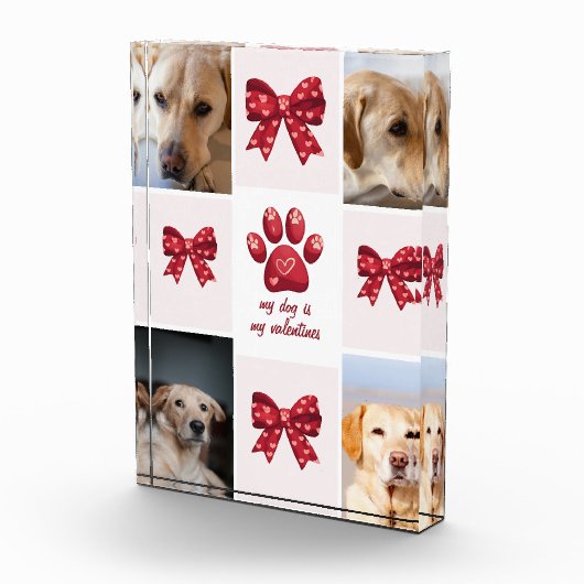 Mijn hond is mijn Valentijnse boog 4 foto's (Rechts)