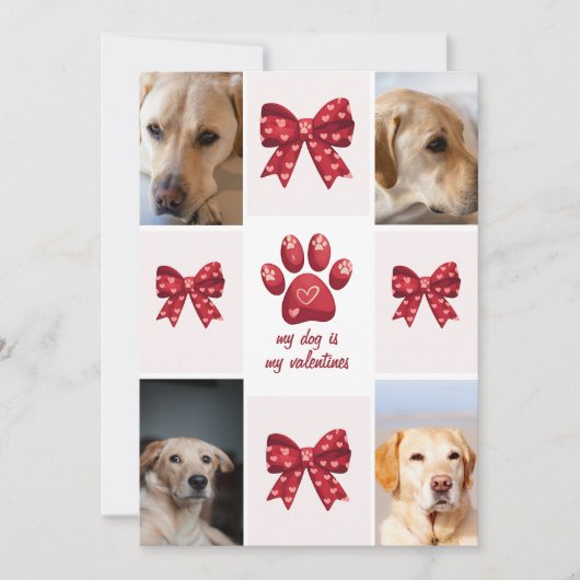 Mijn hond is mijn Valentijnse boog 4 foto's Feestdagenkaart (Voorkant)