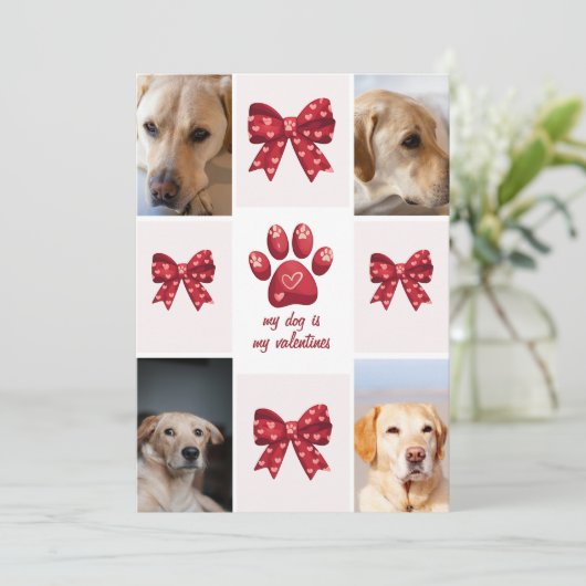 Mijn hond is mijn Valentijnse boog 4 foto's Feestdagenkaart (Staand voorkant)