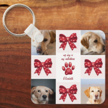 Mijn hond is mijn Valentijnse boog 4 foto's