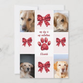 Mijn hond is mijn Valentijnspijl 4 foto's Feestdagenkaart (Voorkant)