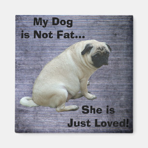 Mijn hond is niet gek. magneet