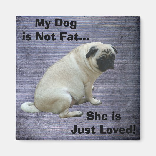 Mijn hond is niet gek. magneet (Voorkant)