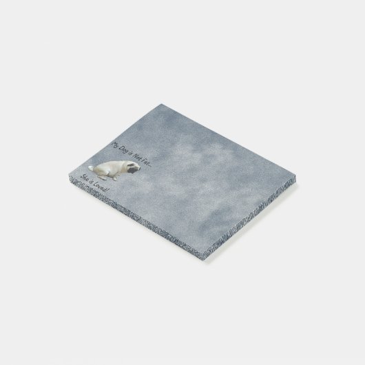 Mijn hond is niet gek. post-it® notes (Schuin)