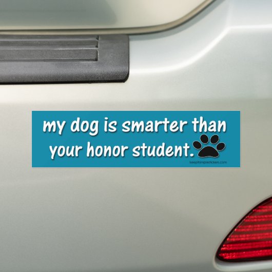 Mijn hond is slimmer dan.... bumpersticker (Op auto)
