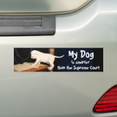Mijn hond is slimmer dan het Hooggerechtshof Bumpersticker (Op auto)