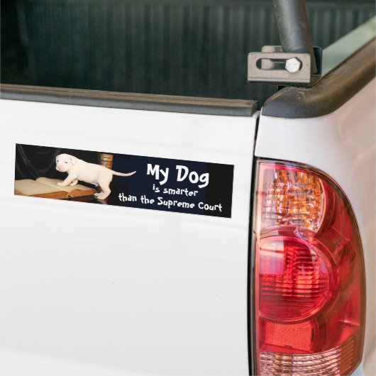 Mijn hond is slimmer dan het Hooggerechtshof Bumpersticker (Op Truck)