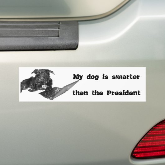 Mijn hond is slimmer dan het President Bumpersticker (Op auto)