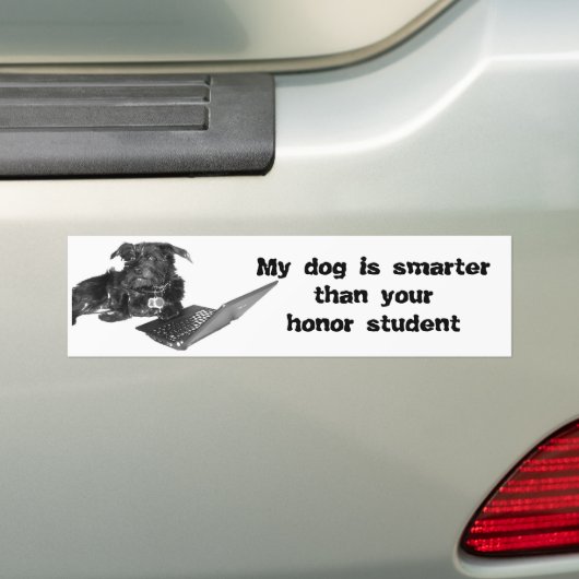 Mijn hond is slimmer dan je eerling student bumpersticker (Op auto)