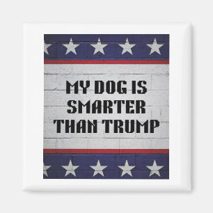 Mijn hond is slimmer dan Trump Magneet