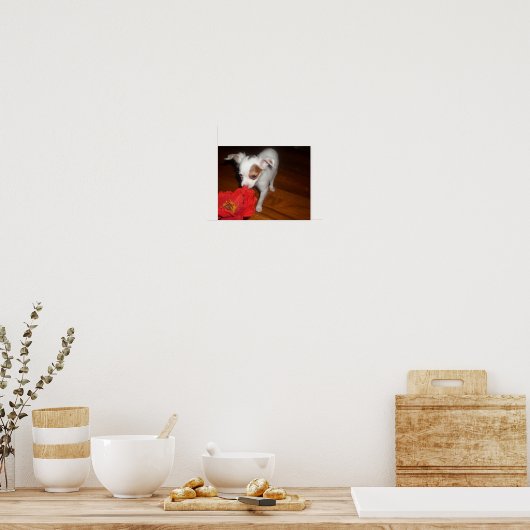 Mijn hond poster (Keuken)