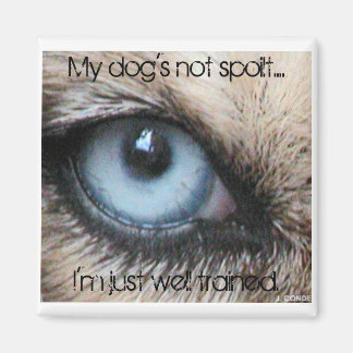 Mijn honden zijn niet verwend, ik ben gewoon goed  magneet