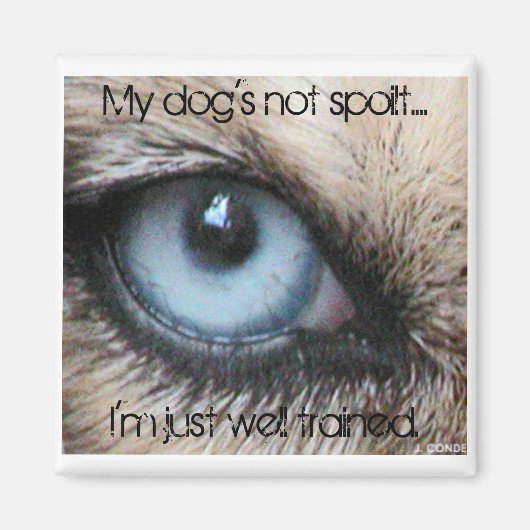 Mijn honden zijn niet verwend, ik ben gewoon goed magneet (Voorkant)