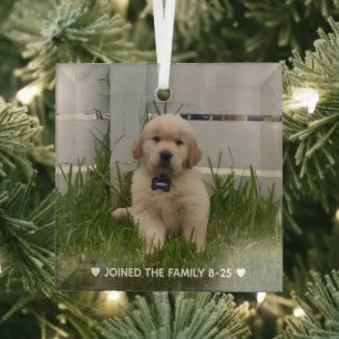Mijn hondenfoto Kerstmis Glas Ornament