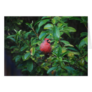 Mijn HoofdKaart van Deugden