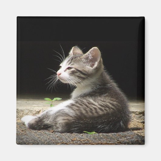 Mijn horloge magneet (Voorkant)