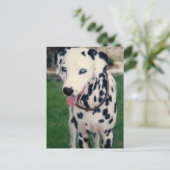 Mijn huisdier vriend aangepaste foto briefkaart (Staand voorkant)