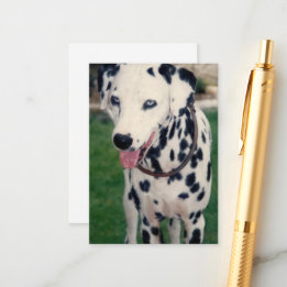 Mijn huisdier vriend aangepaste foto informatiekaartje