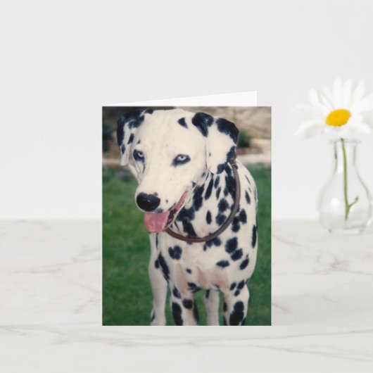 Mijn huisdier vriend aangepaste foto kaart (Kleine Plant)
