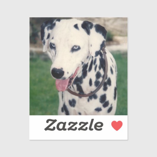 Mijn huisdier vriend aangepaste foto sticker (Vel)