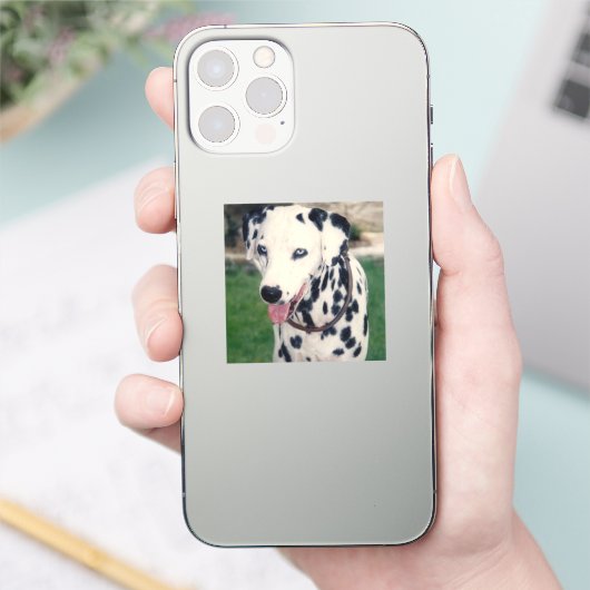 Mijn huisdier vriend aangepaste foto sticker (Telefoon)