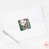 Mijn huisdier vriend aangepaste foto vierkante sticker (Envelop)