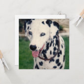 Mijn huisdier vriend upload je eigen foto op maat kaart (Voorkant / Achterkant in situ)