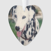 Mijn huisdier vriend upload je eigen foto op maat ornament (voorkant)