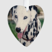 Mijn huisdier vriend upload je eigen foto op maat ornament (voorkant)