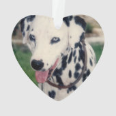 Mijn huisdier vriend upload je eigen foto op maat ornament (achterkant)