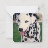 Mijn huisdier Vriend Upload uw eigen foto aangepas Notitiekaartje (Voorkant)