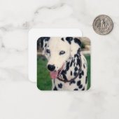 Mijn huisdier Vriend Upload uw eigen foto aangepas Notitiekaartje (Voorkant / Achterkant in situ)