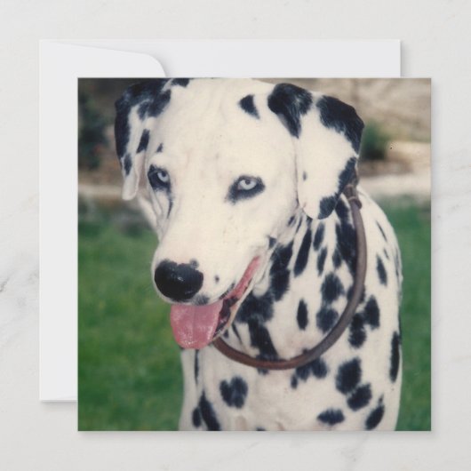 Mijn huisdier Vriend Upload uw eigen foto op maat Kaart (Voorkant)