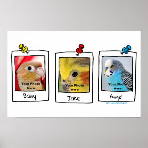 Mijn huisdieren Vogels Retro aangepaste foto colla Poster