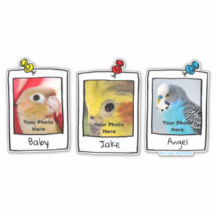 Mijn huisdieren Vogels Retro aangepaste foto colla Sticker
