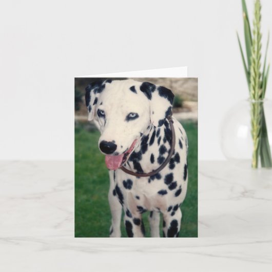 Mijn huisdiervriend met aangepaste foto kaart (Voorkant)