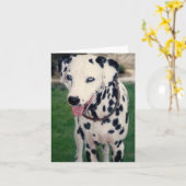 Mijn huisdiervriend met aangepaste foto kaart (Gele Bloem)