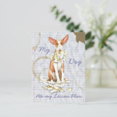 Mijn Ibizan Hound Ate Mijn Lesson Plan Briefkaart (Staand voorkant)