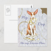 Mijn Ibizan Hound Ate Mijn Lesson Plan Briefkaart (Voorkant / Achterkant)