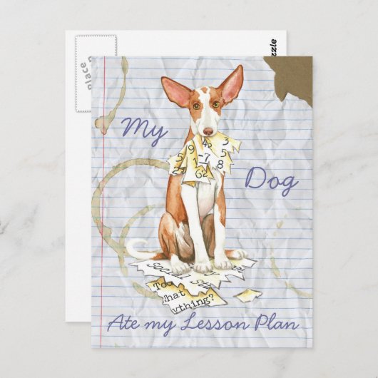 Mijn Ibizan Hound Ate Mijn Lesson Plan Briefkaart (Voorkant / Achterkant)