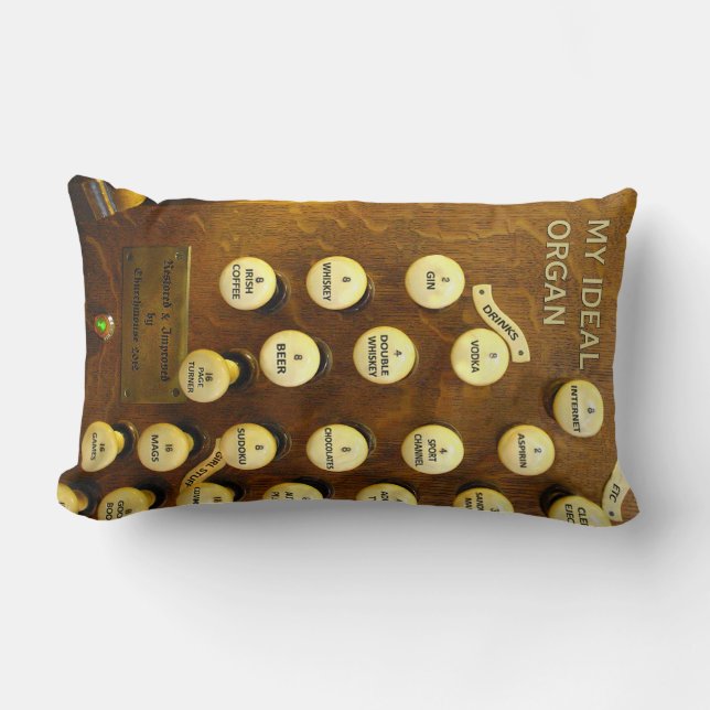 Mijn ideale pijlstaap voor orgaanlumbolen kussen (Voorkant)