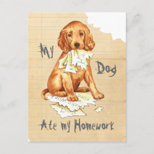 Mijn Ierse Setter Ate mijn thuiswerk Briefkaart