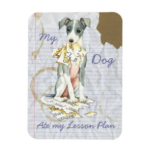 Mijn Italiaanse Greyhound Ate My Lesson Plan Magneet