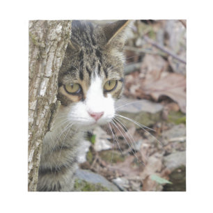 Mijn jachtkat notitieblok