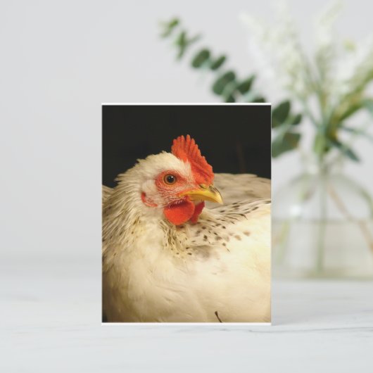 Mijn jongen briefkaart (Staand voorkant)